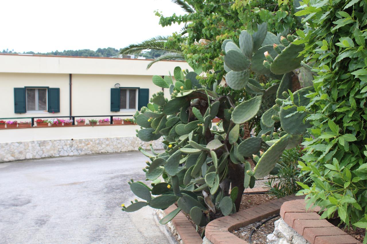 Villaggio Turistico Defensola Vieste Dış mekan fotoğraf