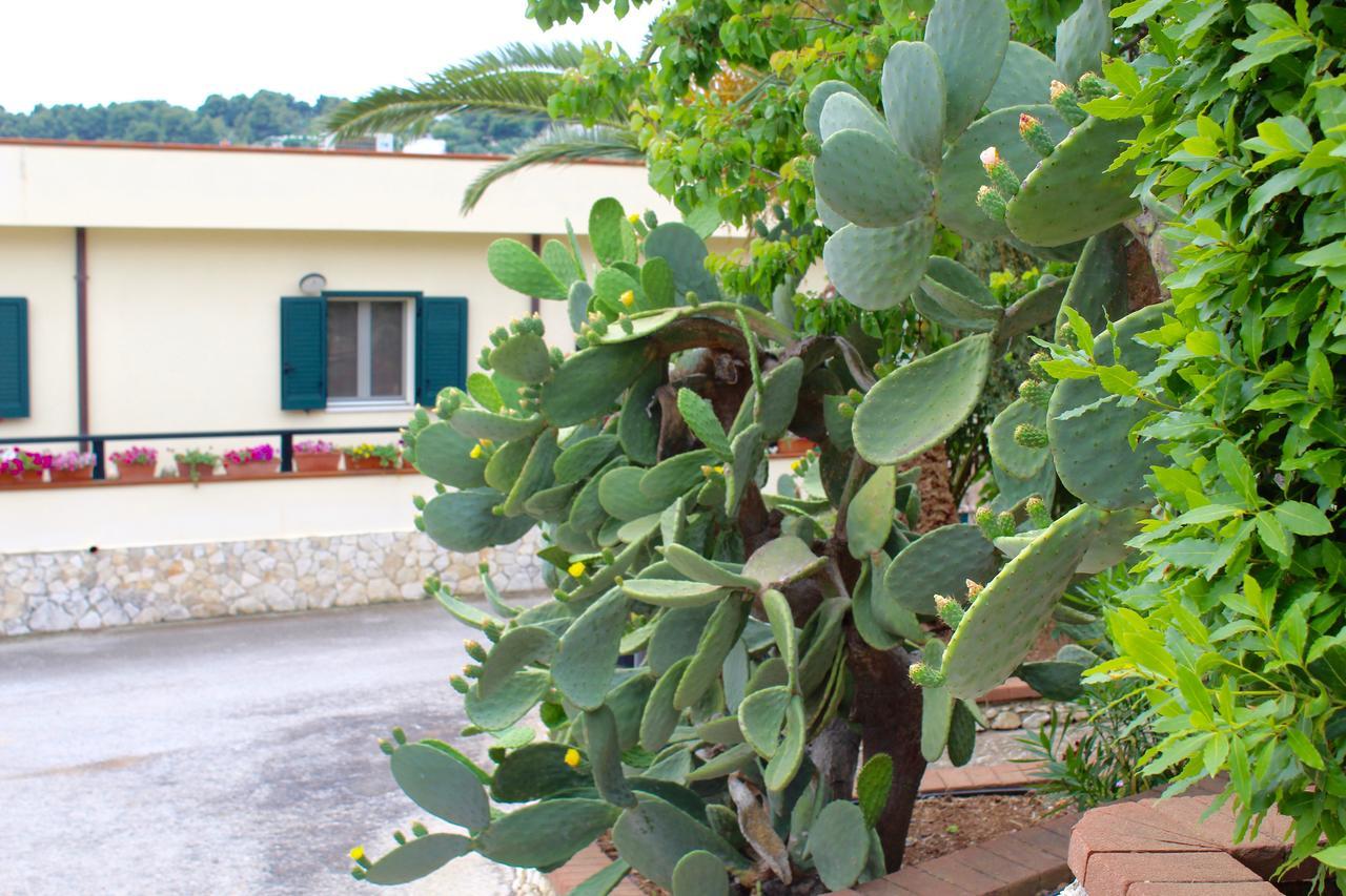Villaggio Turistico Defensola Vieste Dış mekan fotoğraf